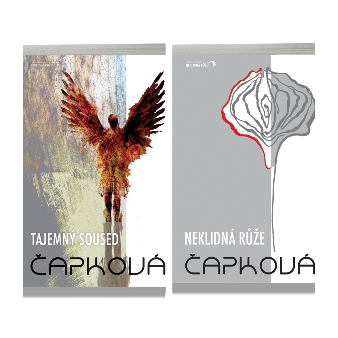 Kniha Neklidná růže + Tajemný soused
